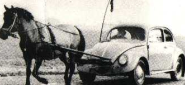 Fürsorge und Vorsorge bei MS